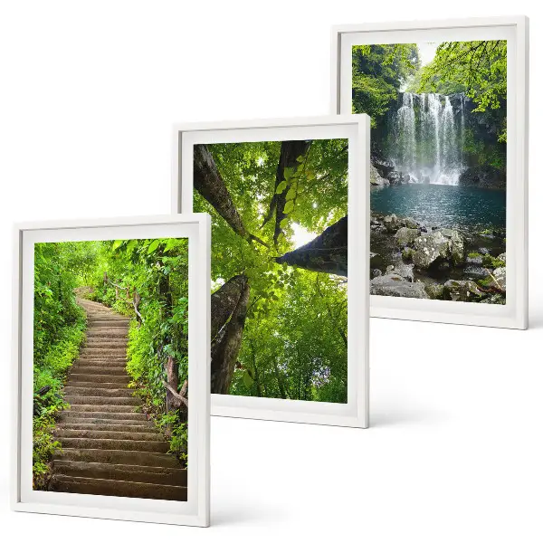 3er-Set Bilder mit Rahmen mit Motiv Wald Pfad und Wasserfall