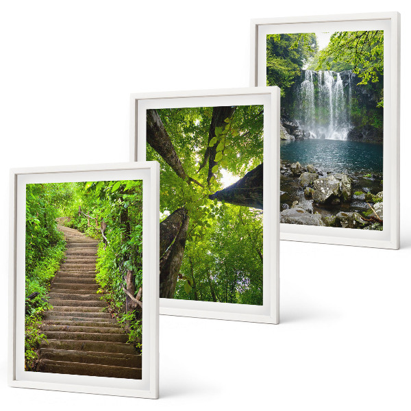 Bilder-3er-set mit rahmen Pfad Wald Wasserfall Vegetation