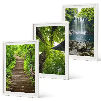 3er-Set Bilder mit Rahmen mit Motiv Wald Pfad und Wasserfall