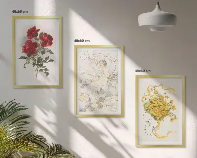 3er-Set Bilder mit Rahmen Motiv Rosen in Rot und Weiß