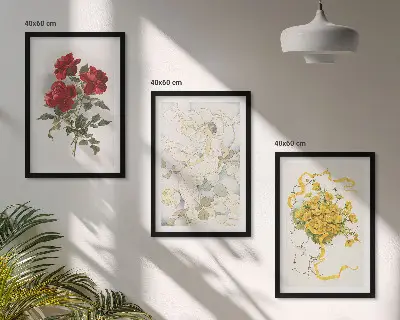3er-Set Bilder mit Rahmen Motiv Rosen in Rot und Weiß