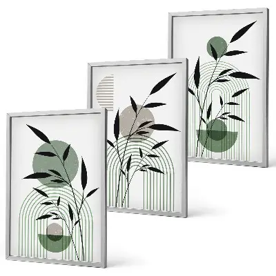 Boho-Pflanzenkompositionen 3er-Set mit Bilderrahmen