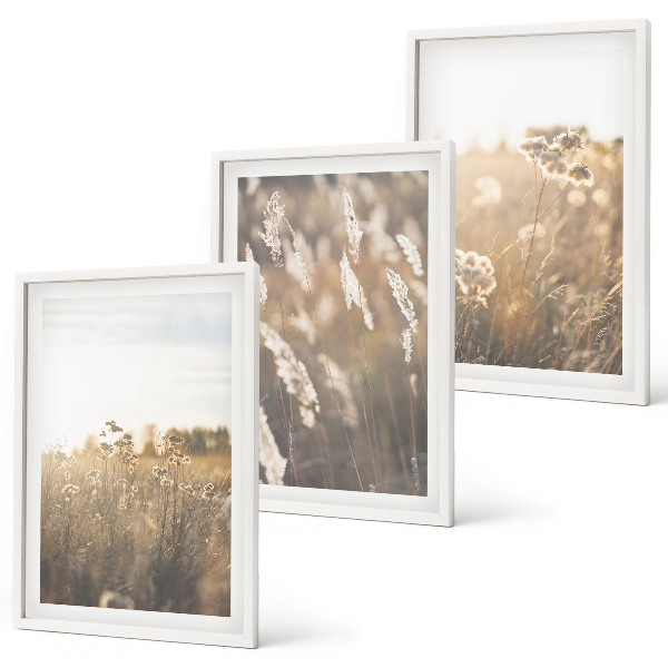 Bilder-3er-set mit rahmen Landschaftsgrasblumen Wärme