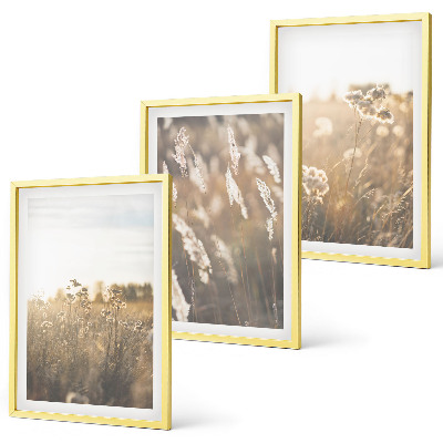 Bilder-3er-set mit rahmen Landschaftsgrasblumen Wärme