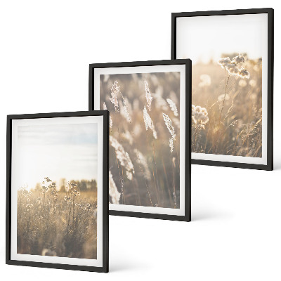 Bilder-3er-set mit rahmen Landschaftsgrasblumen Wärme