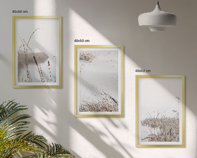 Bilder-3er-set mit rahmen Wasserpflanzen im Sommer