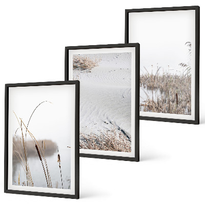 Bilder-3er-set mit rahmen Wasserpflanzen im Sommer