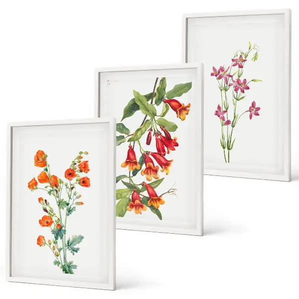 Gerahmtes Bilderset mit Vintage Retro Blumenmalerei