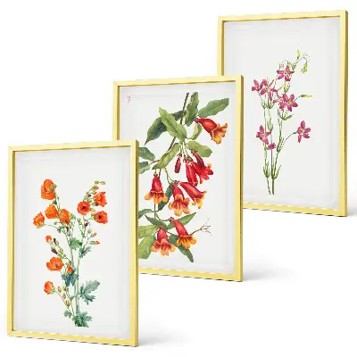 Gerahmtes Bilderset mit Vintage Retro Blumenmalerei