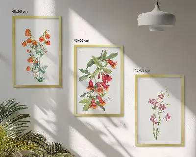 Gerahmtes Bilderset mit Vintage Retro Blumenmalerei