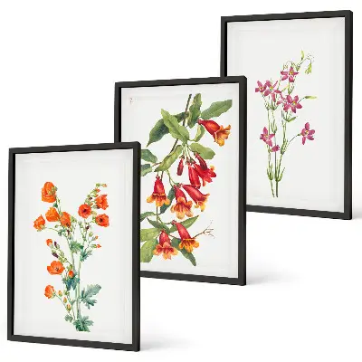 Gerahmtes Bilderset mit Vintage Retro Blumenmalerei