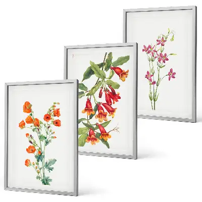 Gerahmtes Bilderset mit Vintage Retro Blumenmalerei