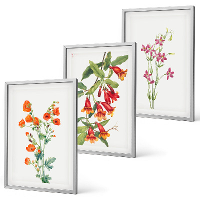 Gerahmtes bilderset Vintage-Retro-Blumenmalerei