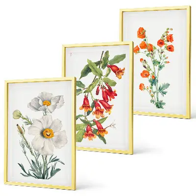 Retro Blumenarrangement Bilder 3er Set mit Rahmen