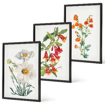 Retro Blumenarrangement Bilder 3er Set mit Rahmen