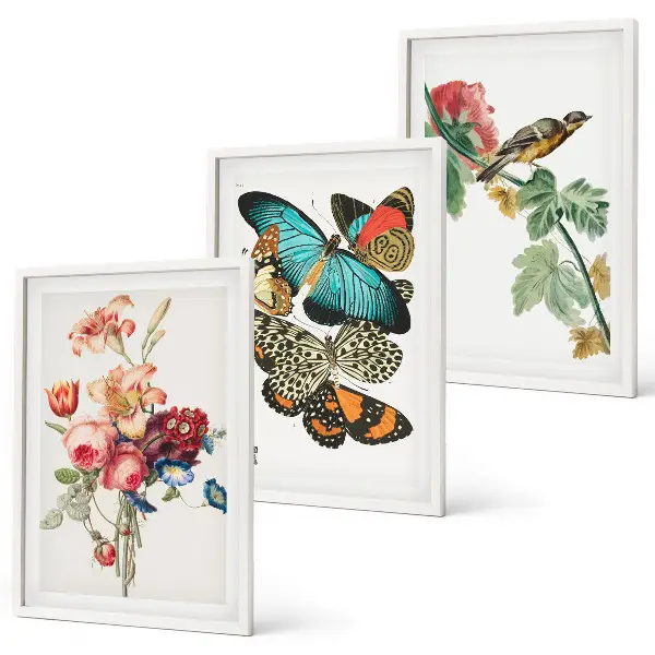 Gerahmtes Bilderset mit Motiven von Blumen, Schmetterlingen und Vögeln in Pastellfarben
