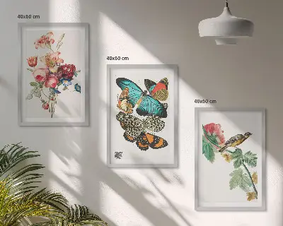 Gerahmtes Bilderset mit Motiven von Blumen, Schmetterlingen und Vögeln in Pastellfarben