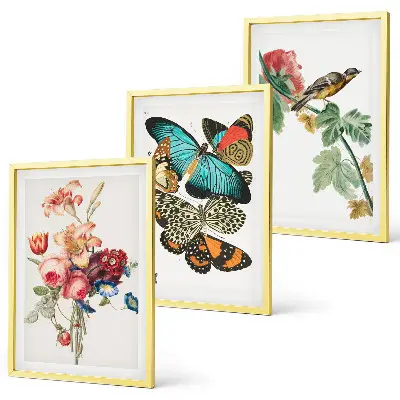 Gerahmtes Bilderset mit Motiven von Blumen, Schmetterlingen und Vögeln in Pastellfarben