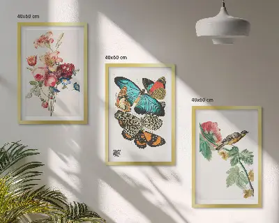 Gerahmtes Bilderset mit Motiven von Blumen, Schmetterlingen und Vögeln in Pastellfarben