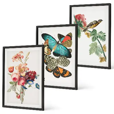 Gerahmtes Bilderset mit Motiven von Blumen, Schmetterlingen und Vögeln in Pastellfarben