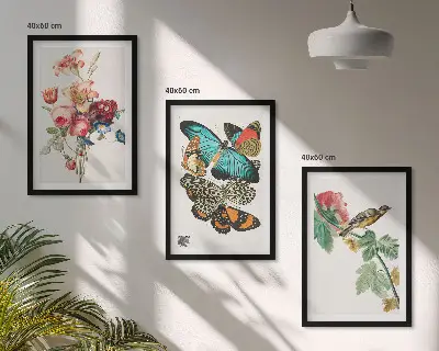Gerahmtes Bilderset mit Motiven von Blumen, Schmetterlingen und Vögeln in Pastellfarben