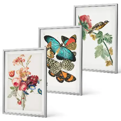 Gerahmtes Bilderset mit Motiven von Blumen, Schmetterlingen und Vögeln in Pastellfarben