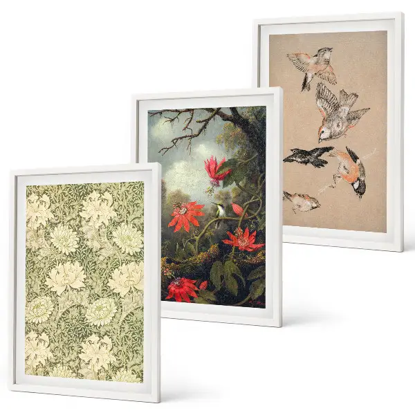 3er-Set Bilder mit Rahmen Motiv Blumen Vögel und Natur