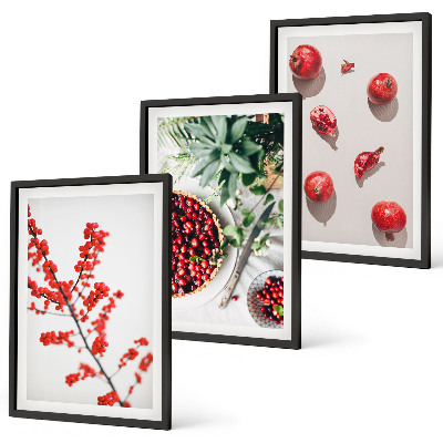 Bilder-3er-set mit rahmen Minimalismus der roten Früchte von Pflanzen