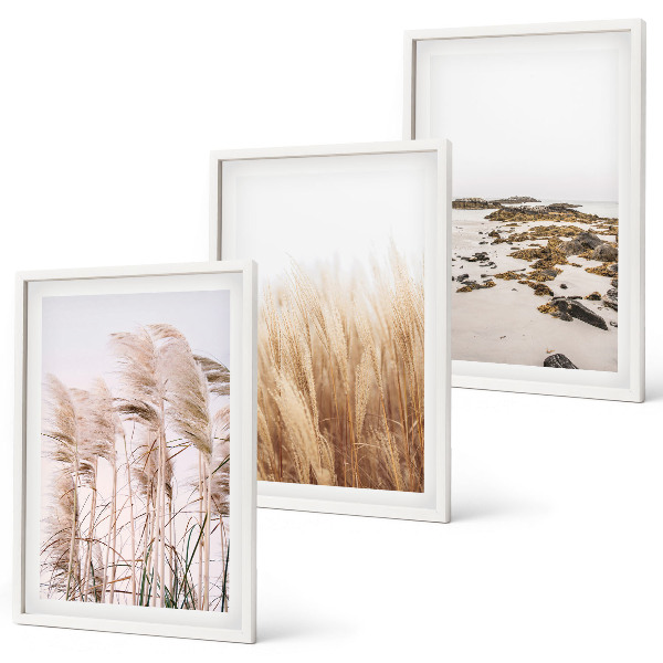 Bilder-3er-set mit rahmen Pampasgrasfelder und ein Boho-Strand
