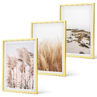 Bilder-3er-set mit rahmen Pampasgrasfelder und ein Boho-Strand