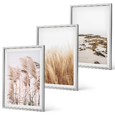 Bilder-3er-set mit rahmen Pampasgrasfelder und ein Boho-Strand