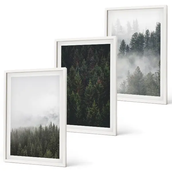 Gerahmtes Bilderset mit grünen Wäldern und Nebel in der Natur