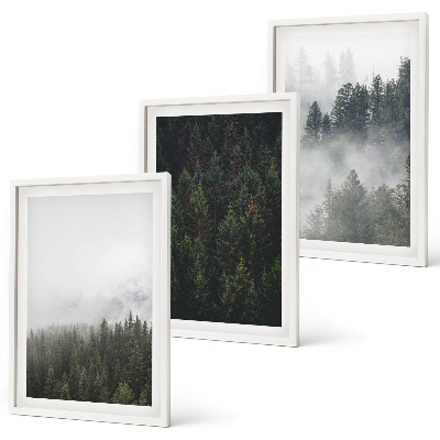 Gerahmtes bilderset Grüne Wälder Nebel Natur