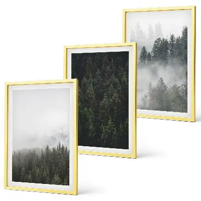 Gerahmtes Bilderset mit grünen Wäldern und Nebel in der Natur