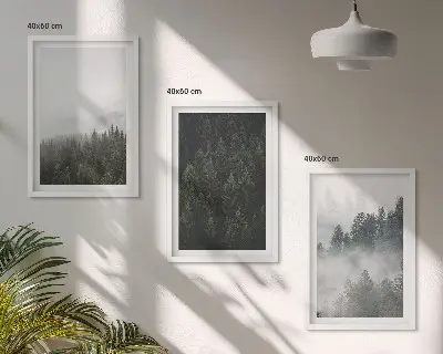 Gerahmtes Bilderset mit grünen Wäldern und Nebel in der Natur