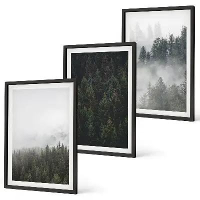 Gerahmtes Bilderset mit grünen Wäldern und Nebel in der Natur