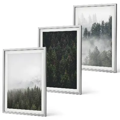Gerahmtes Bilderset mit grünen Wäldern und Nebel in der Natur