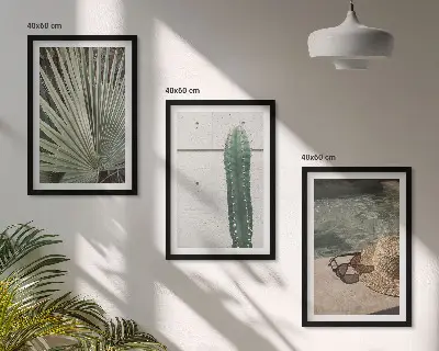 3er-Set Bilder mit Rahmen mit Motiven für tropische Pflanzen