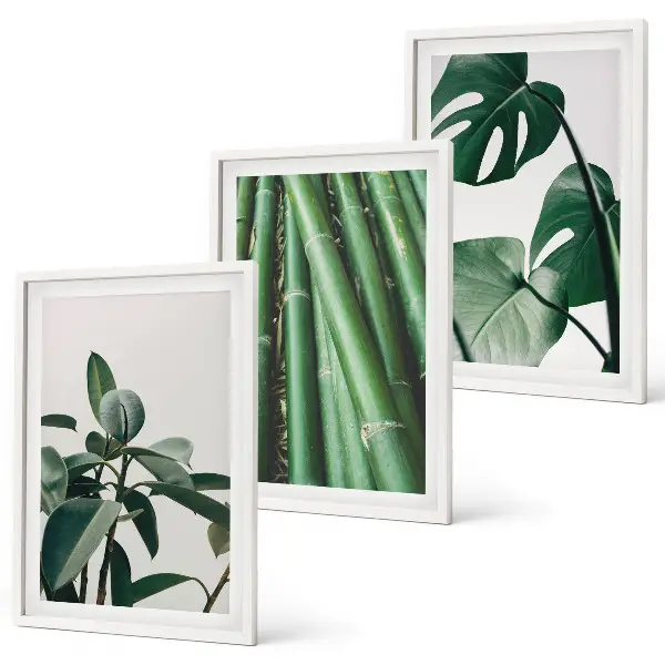 Bilder-3er-Set mit Rahmen Motiv Bambusstängel und Monstera-Blätter