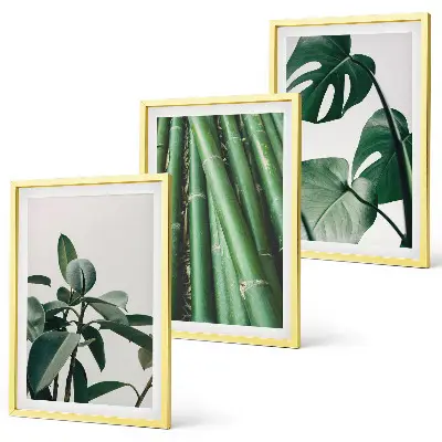 Bilder-3er-Set mit Rahmen Motiv Bambusstängel und Monstera-Blätter