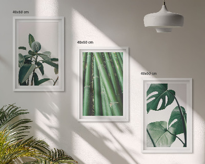 Bilder-3er-set mit rahmen Bambusstängel und Monstera-Blätter