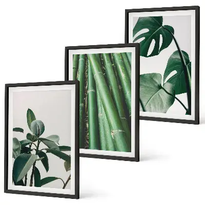 Bilder-3er-Set mit Rahmen Motiv Bambusstängel und Monstera-Blätter
