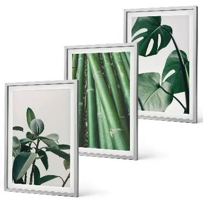 Bilder-3er-Set mit Rahmen Motiv Bambusstängel und Monstera-Blätter