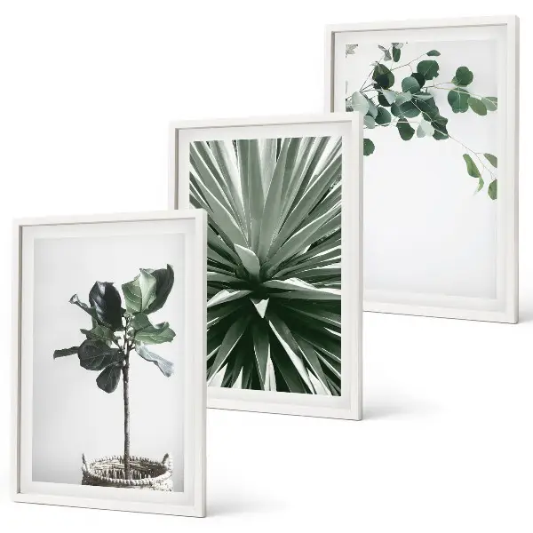 3er-Set Bilder mit Rahmen mit minimalistischen grünen Pflanzenmotiven
