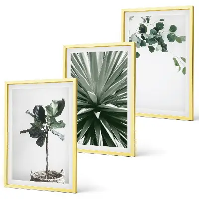 3er-Set Bilder mit Rahmen mit minimalistischen grünen Pflanzenmotiven