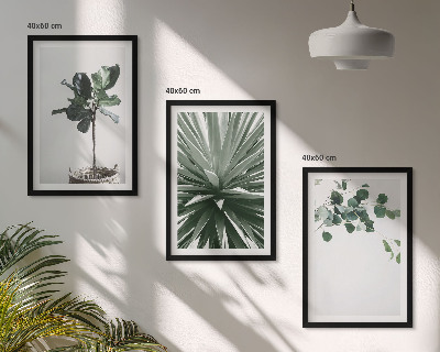Bilder-3er-set mit rahmen Minimalismus mit grünen Pflanzen