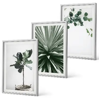3er-Set Bilder mit Rahmen mit minimalistischen grünen Pflanzenmotiven