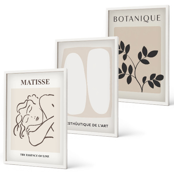 Gerahmtes bilderset Matisses stilvolle Pflanzenbilder