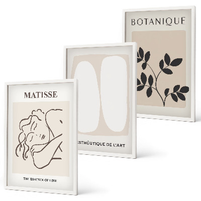 Gerahmtes bilderset Matisses stilvolle Pflanzenbilder