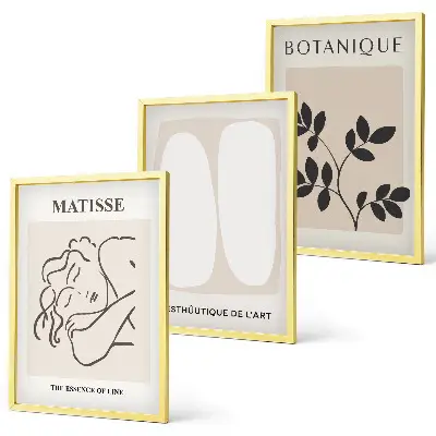 Gerahmtes Bilderset stilvolle Pflanzenmotive im Stil von Matisse